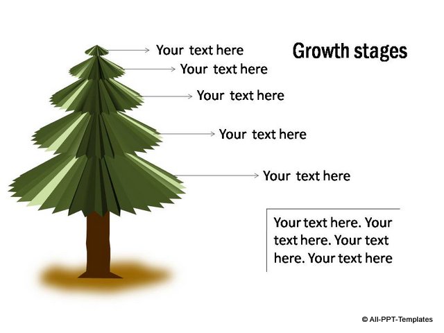 Growth stages shown on Tree Metaphor