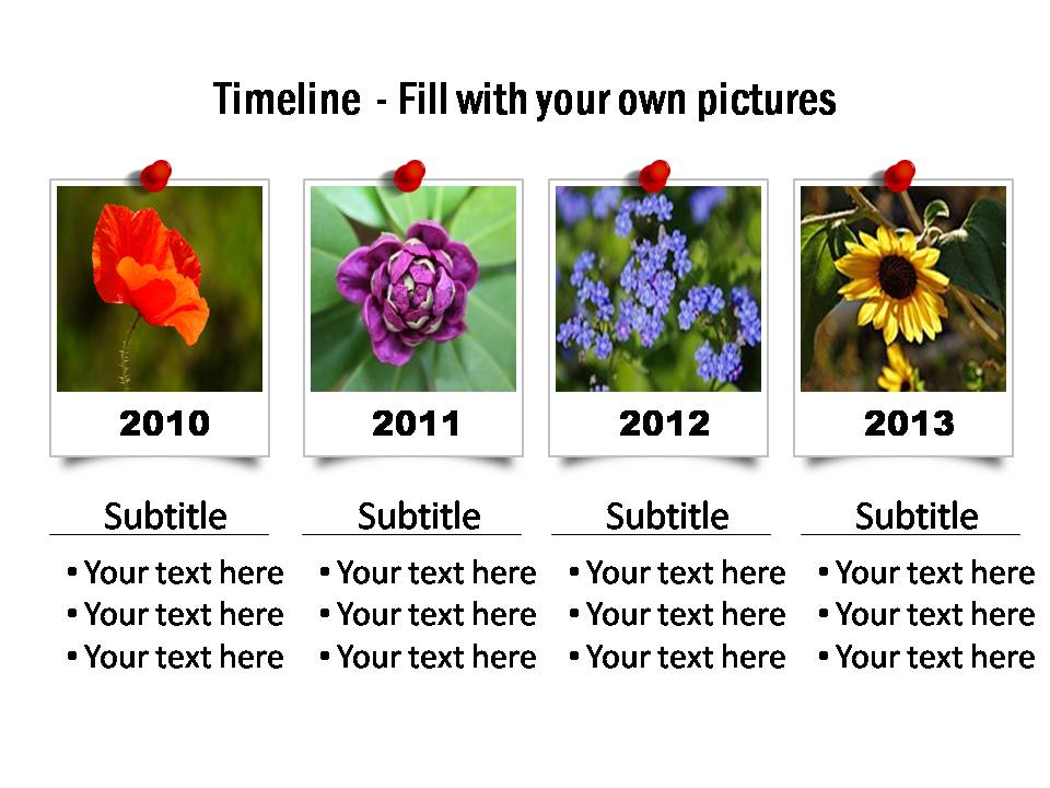 Timeline visual with framed photos, detailed year and text against each. The photos appear pinned to the slide.