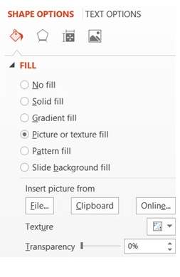 Shape Fill Picture Option