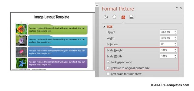 PowerPoint Design Habit of Resizing Image