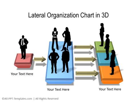 3d Organizational Chart