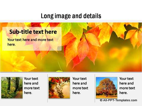 PowerPoint Image Layout  05