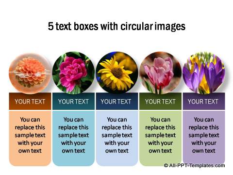 5 Text boxes with circular images