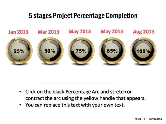 Project Timeline:  showing 5 stages of percentage completion