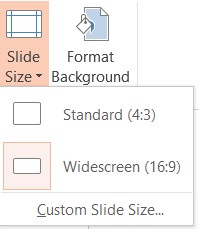 Widescreen and Standard Size Setting