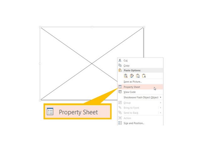 Edit Flash Property Sheet