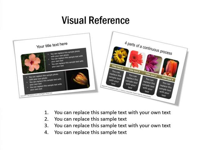 Visual Reference Slide