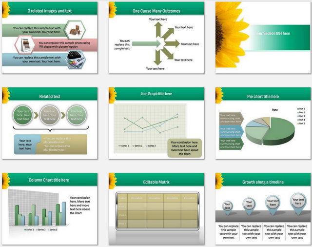 Bright Education Pptx Charts 2