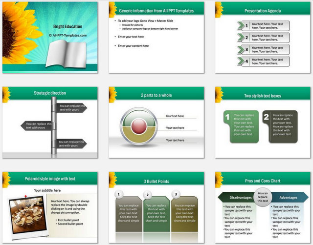 Bright Education Pptx Charts 1