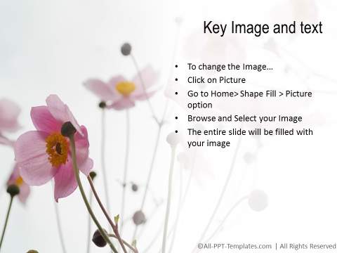 PowerPoint Bullet Point List 16