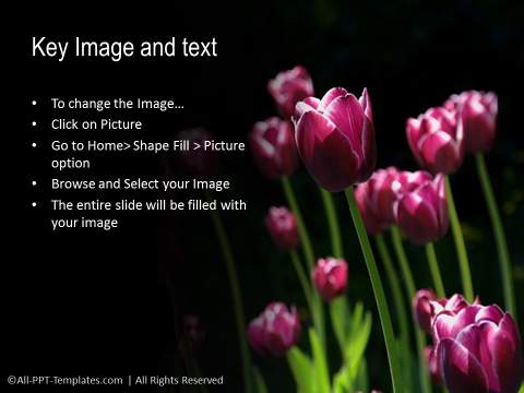 PowerPoint Bullet Point List 17