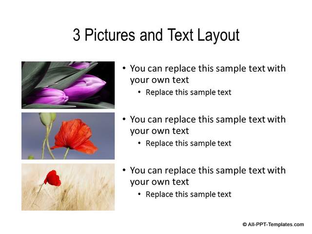 PowerPoint Custom Slide Layout with Content