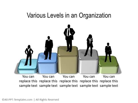 PowerPoint Hierarchy 14