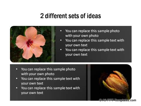 2 different sets of ideas