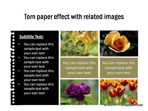 PowerPoint Image Layout 01