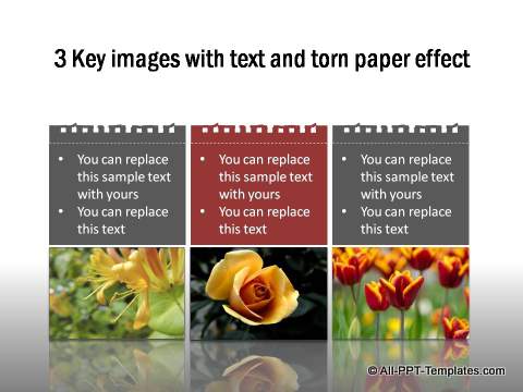PowerPoint Image Layout 02
