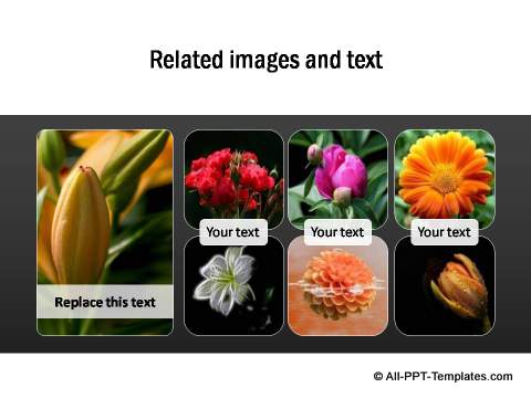 PowerPoint Image Layout 07
