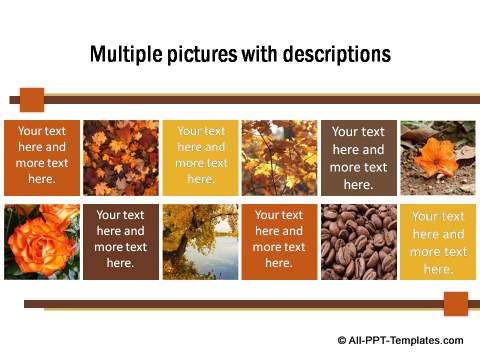 PowerPoint Image Layout  08