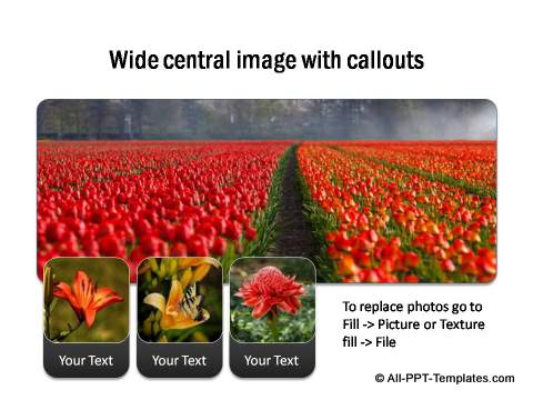 PowerPoint Image Layout  10