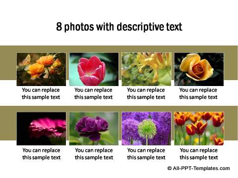 PowerPoint Image Layout 12