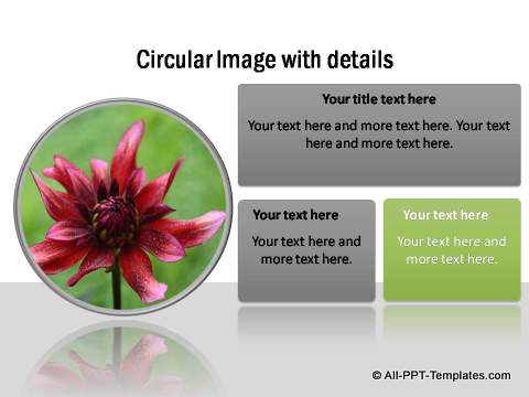 PowerPoint Image Layout  13