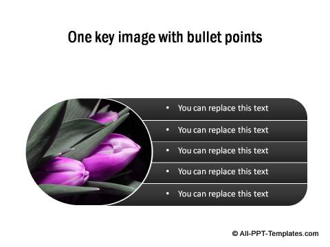 PowerPoint Image Layout 17