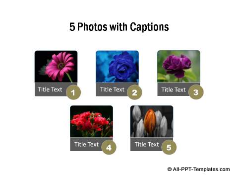 5 individual photos with brief captions