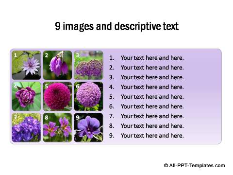 9 images thumbnails with descriptive text