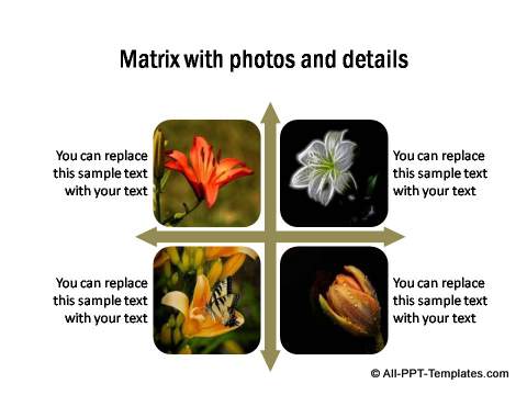 PowerPoint Quadrants 02