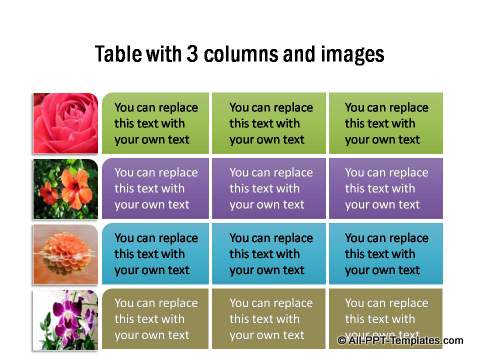 PowerPoint Table with Image 02