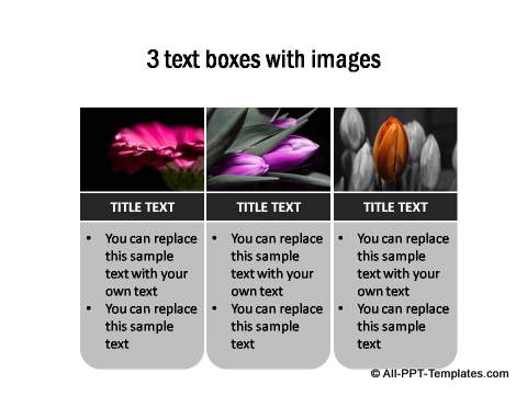 3 Text boxes with photos