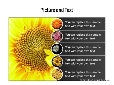 Picture and text