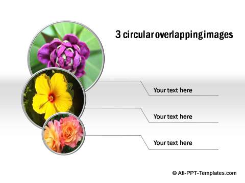PowerPoint Photos as circles