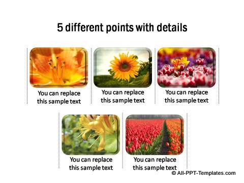 5 different points with images & details