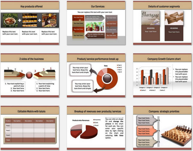 PowerPoint Professional Introduction Charts 2