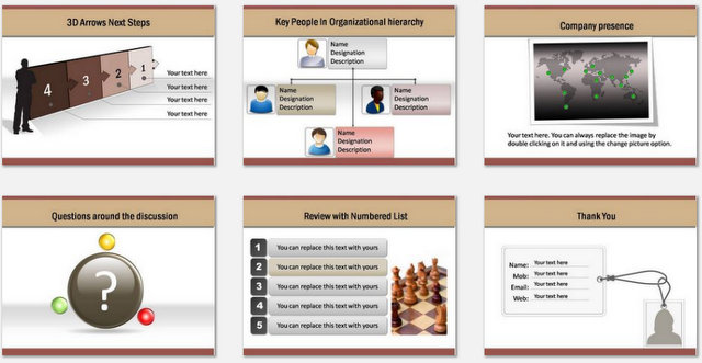 PowerPoint Professional Introduction Charts 3