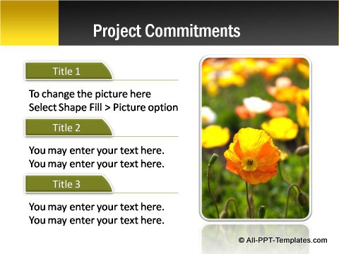 Pptx Project Blueprint Text and Image