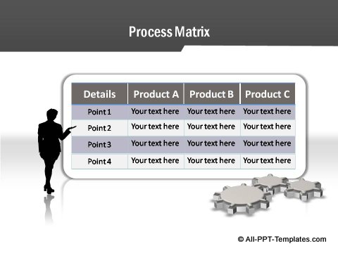 Project Report Process Matrix