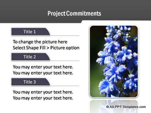 Project Report Text and Image
