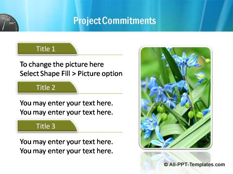 Pptx Project Speed Report  Text and Image