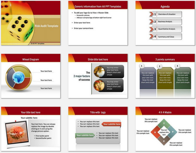PowerPoint  Risk Audit Charts 1